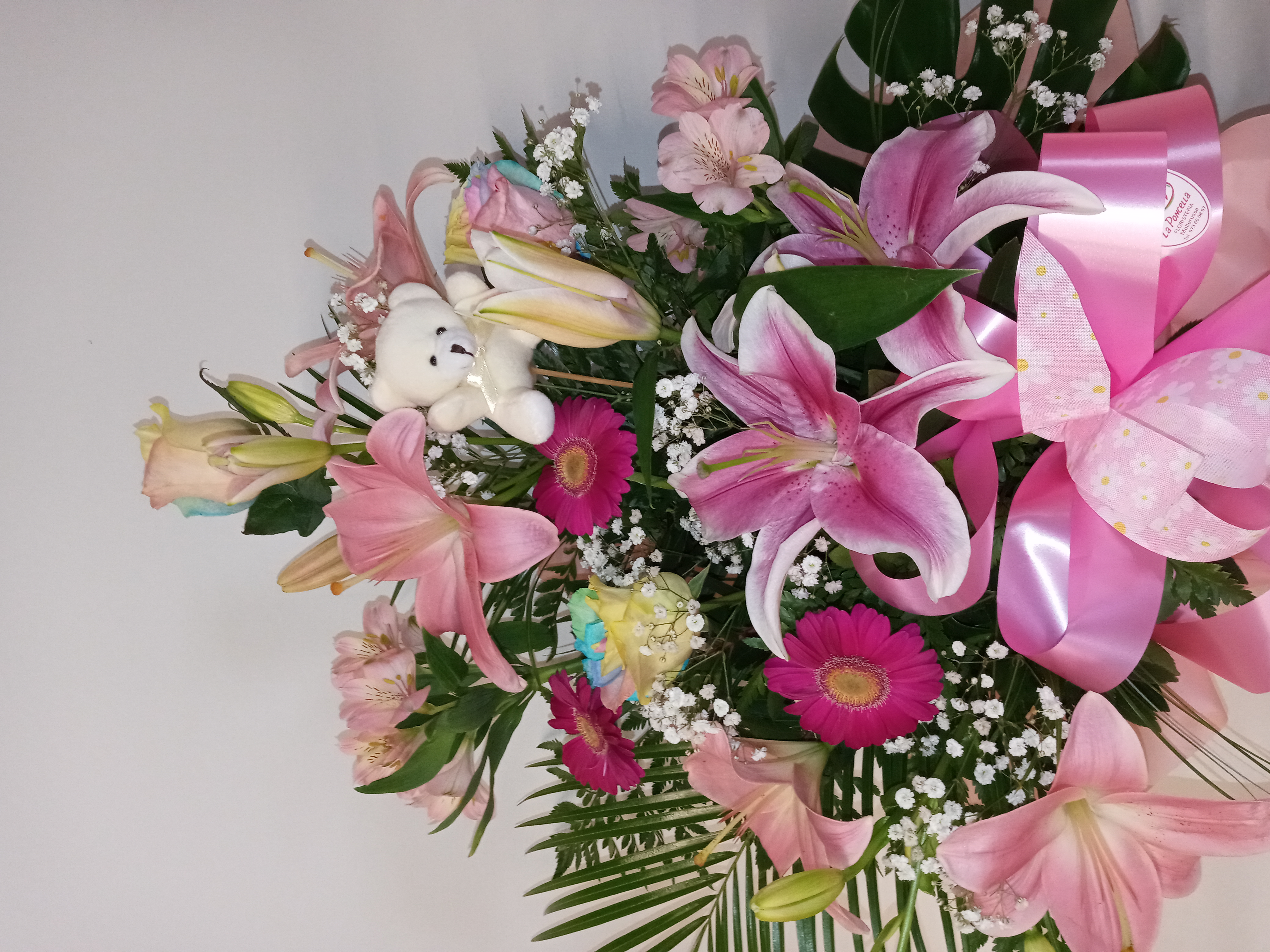 Nacimiento rosa 2